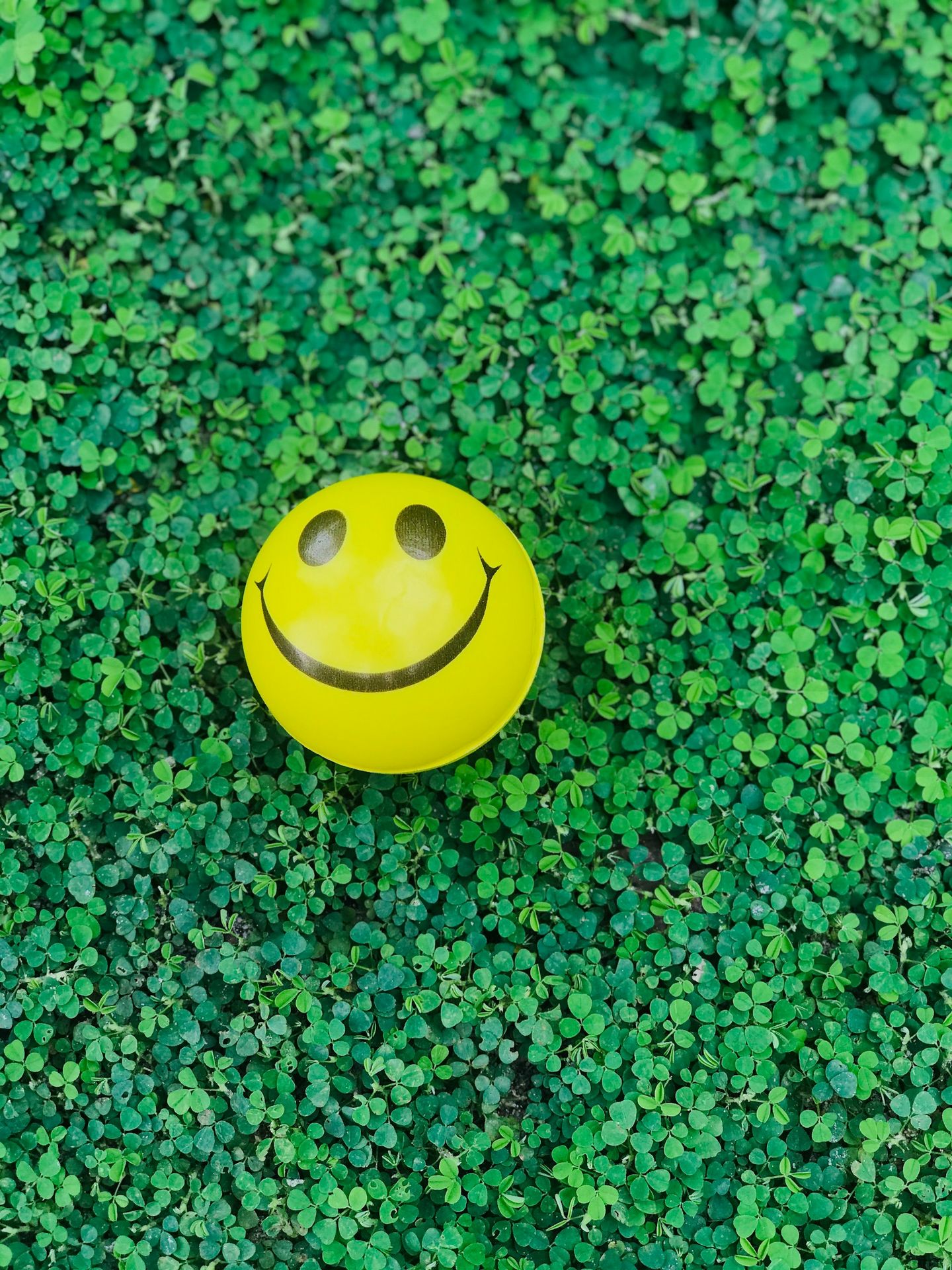 yellow smiley round plastic toy on green grass